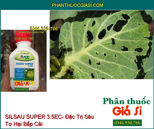 THUỐC TRỪ SÂU SINH HỌC SILSAU SUPER 3.5EC- Đặc Trị Sâu Hồng Đục Quả Bưởi