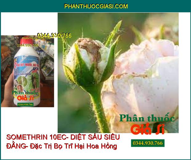 THUỐC TRỪ SÂU SOMETHRIN 10EC- DIỆT SÂU SIÊU ĐẲNG- Đặc Trị Bọ Xít Muỗi- Bọ Trĩ