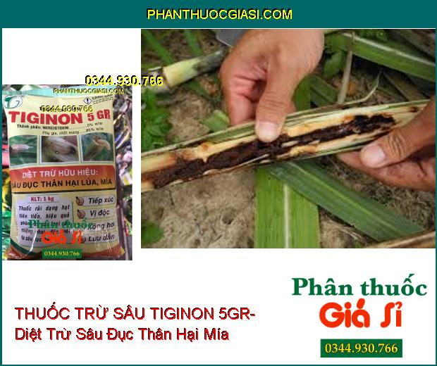 THUỐC TRỪ SÂU TIGINON 5GR- Diệt Trừ Hữu Hiệu Sâu Đục Thân Hại Lúa- Mía