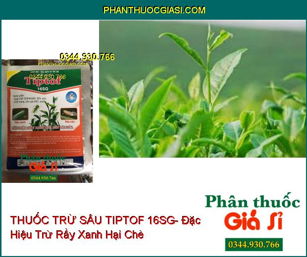 THUỐC TRỪ SÂU TIPTOF 16SG- Đặc Hiệu Trừ Rầy Xanh Hại Chè- Rầy Nâu Hại Lúa