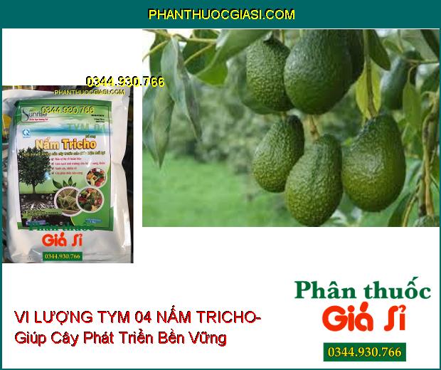 VI LƯỢNG TYM 04 NẤM TRICHO- Bảo Vệ Rễ- Xanh Cây- Cây Phát Triển Bền Vững