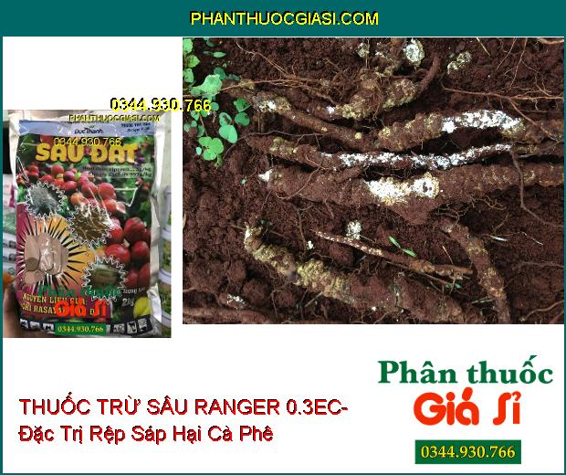 THUỐC TRỪ SÂU RANGER 0.3EC- Đặc Trị Sâu Đất- Tuyến Trùng- Sâu Đục Thân- Bọ Hà