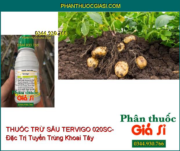 THUỐC TRỪ SÂU SINH HỌC TERVIGO 020SC- Đặc Trị Tuyến Trùng Rễ- Giúp Cho Rộ Rễ Khỏe Mạnh