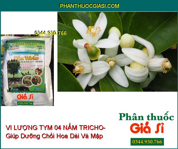 VI LƯỢNG TYM 04 NẤM TRICHO- Bảo Vệ Rễ- Xanh Cây- Cây Phát Triển Bền Vững