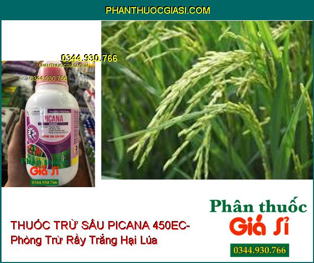 THUỐC TRỪ SÂU PICANA 450EC- Phòng Trừ Rầy Trắng- Diệt Sâu Kháng Thuốc