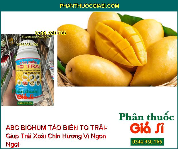 PHÂN BÓN HỮU CƠ ABC BIOHUM TẢO BIỂN TO TRÁI- Dưỡng Bông Và Trái Non- Kích Nở Gai