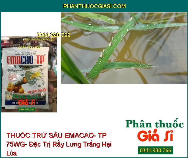 THUỐC TRỪ SÂU SINH HỌC EMACAO- TP 75WG- Trừ Các Loại Sâu Đã Kháng Thuốc