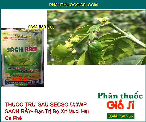 THUỐC TRỪ SÂU SECSO 500WP- SẠCH RẦY- Đặc Trị Rầy- Bọ Xít Muỗi