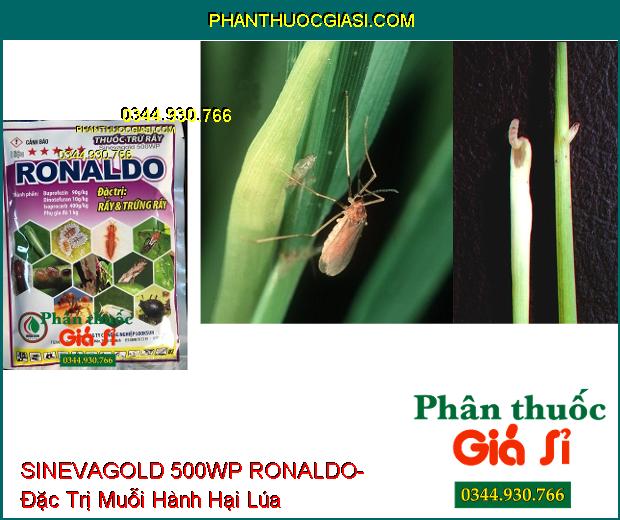 THUỐC TRỪ RẦY SINEVAGOLD 500WP RONALDO- Đặc Trị Rầy Và Trứng Rầy