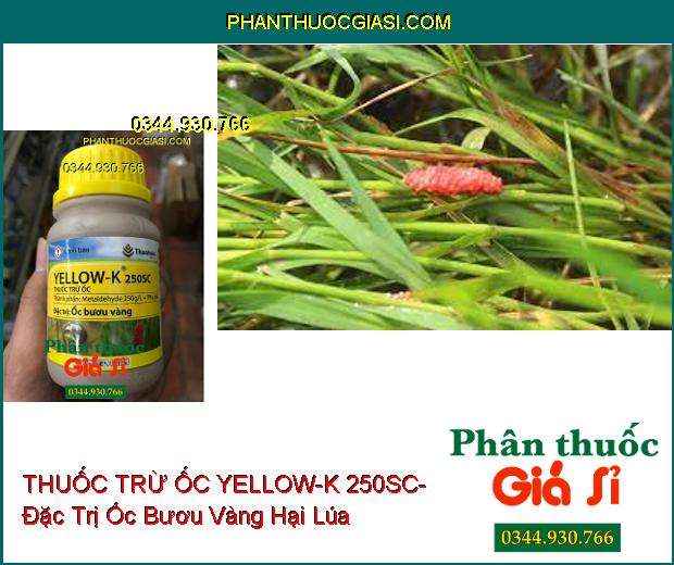 THUỐC TRỪ ỐC YELLOW-K 250SC- Đặc Trị Ốc Bươu Vàng Hại Lúa