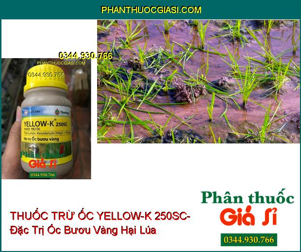 THUỐC TRỪ ỐC YELLOW-K 250SC- Đặc Trị Ốc Bươu Vàng Hại Lúa