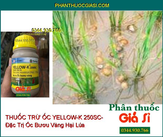 THUỐC TRỪ ỐC YELLOW-K 250SC- Đặc Trị Ốc Bươu Vàng Hại Lúa