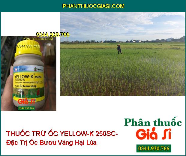 THUỐC TRỪ ỐC YELLOW-K 250SC- Đặc Trị Ốc Bươu Vàng Hại Lúa