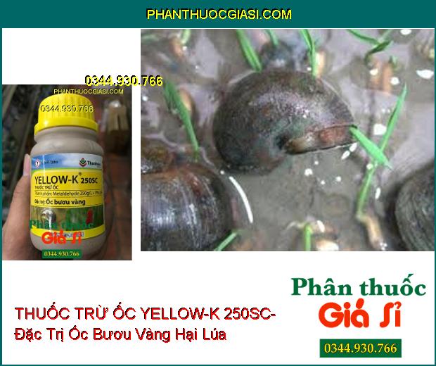 THUỐC TRỪ ỐC YELLOW-K 250SC- Đặc Trị Ốc Bươu Vàng Hại Lúa