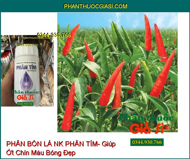 PHÂN BÓN LÁ NK PHÂN TÍM- Kích Thích Cây Sinh Trưởng Nhanh- Làm Lớn Trái Nhanh- Tăng Năng Suất