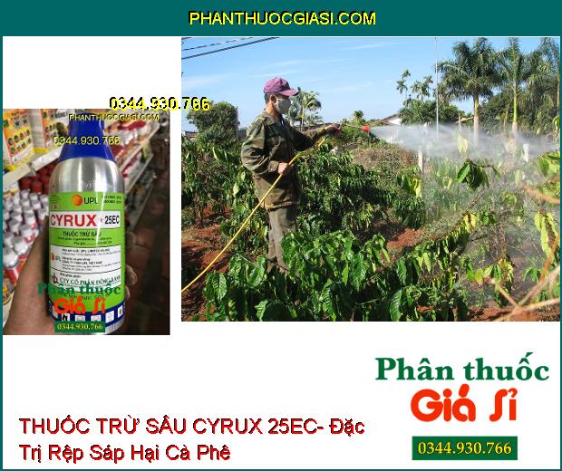 THUỐC TRỪ SÂU CYRUX 25EC- Đặc Trị Sâu Xanh Hại Bông Vải- Rệp Sáp Hại Cà Phê