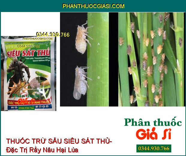 THUỐC TRỪ SÂU SIÊU SÁT THỦ- Đặc Trị Bọ Trĩ Kháng Thuốc- Côn Trùng Chích Hút