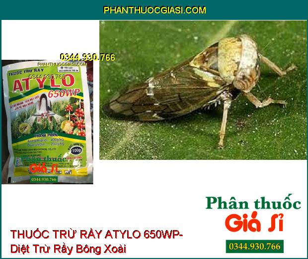 THUỐC TRỪ RẦY ATYLO 650WP- Hạ Gục Rầy Nhanh Chóng- Diệt Được Cả Trứng Rầy