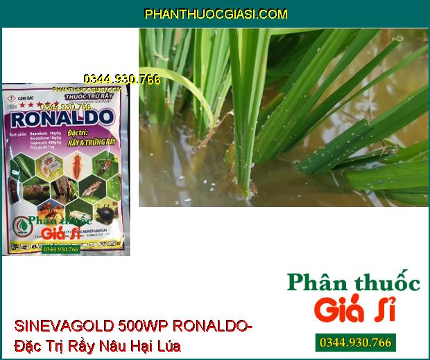 THUỐC TRỪ RẦY SINEVAGOLD 500WP RONALDO- Đặc Trị Rầy Và Trứng Rầy