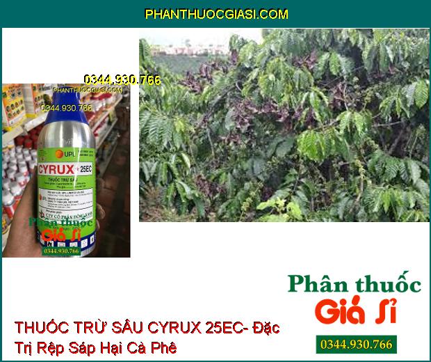 THUỐC TRỪ SÂU CYRUX 25EC- Đặc Trị Sâu Xanh Hại Bông Vải- Rệp Sáp Hại Cà Phê