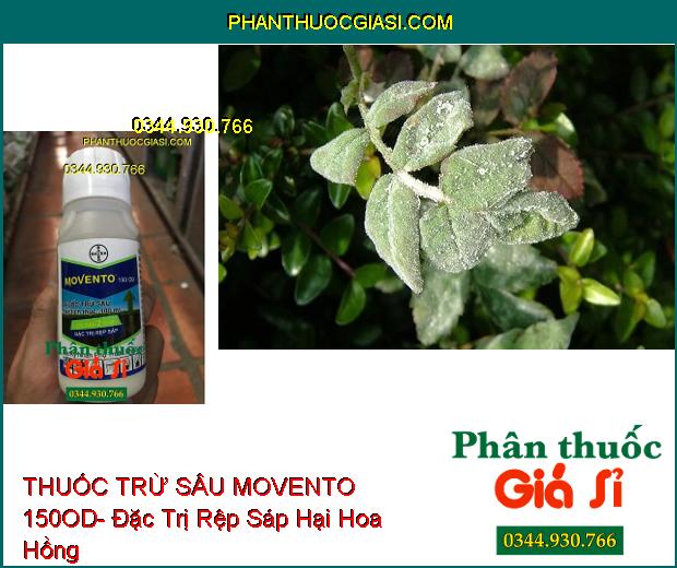 THUỐC TRỪ SÂU MOVENTO 150OD- Đặc Trị Rệp Sáp- Sâu Tơ- Sâu Đục Thân