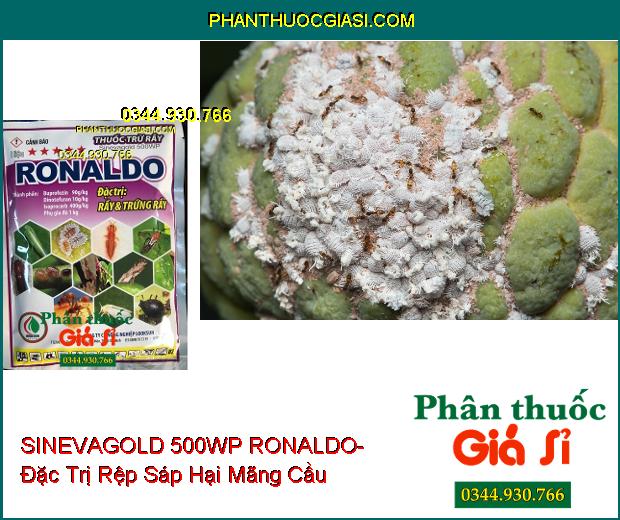 THUỐC TRỪ RẦY SINEVAGOLD 500WP RONALDO- Đặc Trị Rầy Và Trứng Rầy