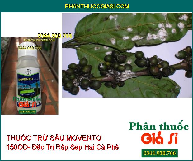 THUỐC TRỪ SÂU MOVENTO 150OD- Đặc Trị Rệp Sáp- Sâu Tơ- Sâu Đục Thân