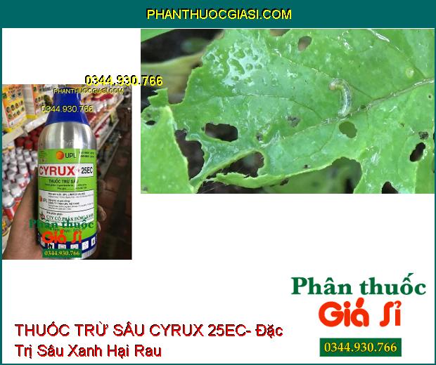 THUỐC TRỪ SÂU CYRUX 25EC- Đặc Trị Sâu Xanh Hại Bông Vải- Rệp Sáp Hại Cà Phê