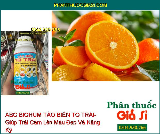 PHÂN BÓN HỮU CƠ ABC BIOHUM TẢO BIỂN TO TRÁI- Dưỡng Bông Và Trái Non- Kích Nở Gai