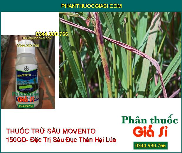 THUỐC TRỪ SÂU MOVENTO 150OD- Đặc Trị Rệp Sáp- Sâu Tơ- Sâu Đục Thân