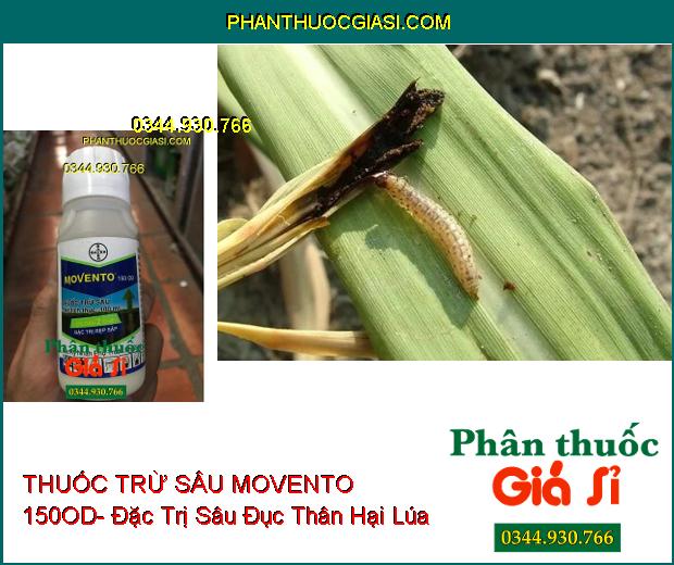 THUỐC TRỪ SÂU MOVENTO 150OD- Đặc Trị Rệp Sáp- Sâu Tơ- Sâu Đục Thân