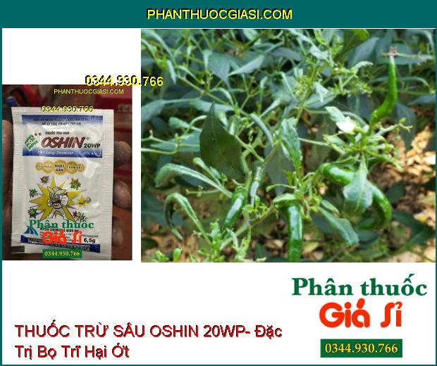 THUỐC TRỪ SÂU OSHIN 20WP- Đặc Trị Bọ Nhảy- Sâu Đục Lá- Bọ Phấn- Rầy