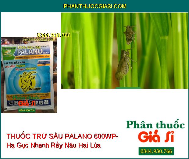 THUỐC TRỪ SÂU PALANO 600WP- Lưu Dẫn Mạnh- Hạ Gục Nhanh Rầy Nâu