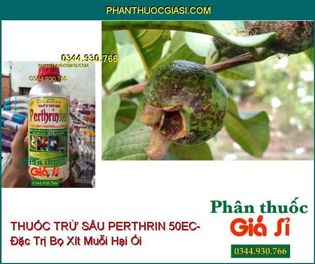 THUỐC TRỪ SÂU PERTHRIN 50EC- Đặc Trị Sâu Cuốn Lá- Bọ Xít Muỗi- Sâu Khoang