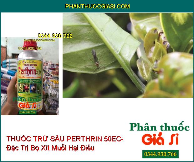 THUỐC TRỪ SÂU PERTHRIN 50EC- Đặc Trị Sâu Cuốn Lá- Bọ Xít Muỗi- Sâu Khoang