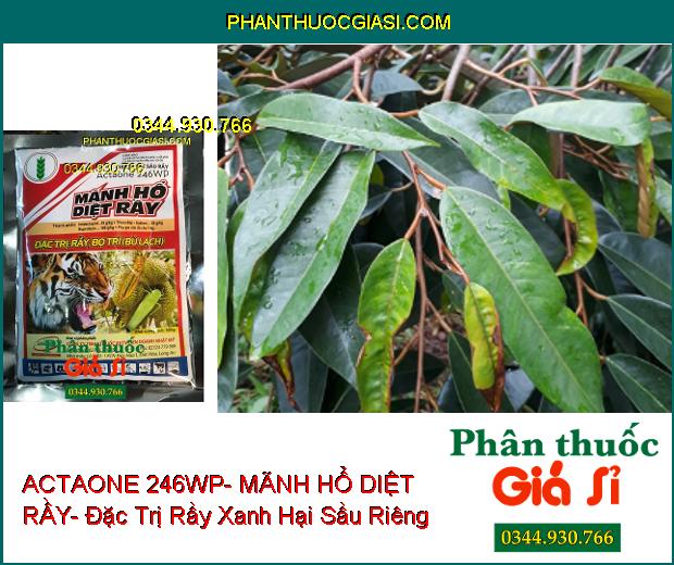 THUỐC TRỪ SÂU RẦY ACTAONE 246WP- MÃNH HỔ DIỆT RẦY- Đặc Trị Rầy- Bọ Trĩ