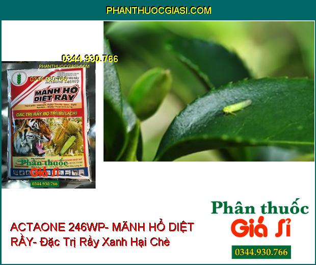 THUỐC TRỪ SÂU RẦY ACTAONE 246WP- MÃNH HỔ DIỆT RẦY- Đặc Trị Rầy- Bọ Trĩ