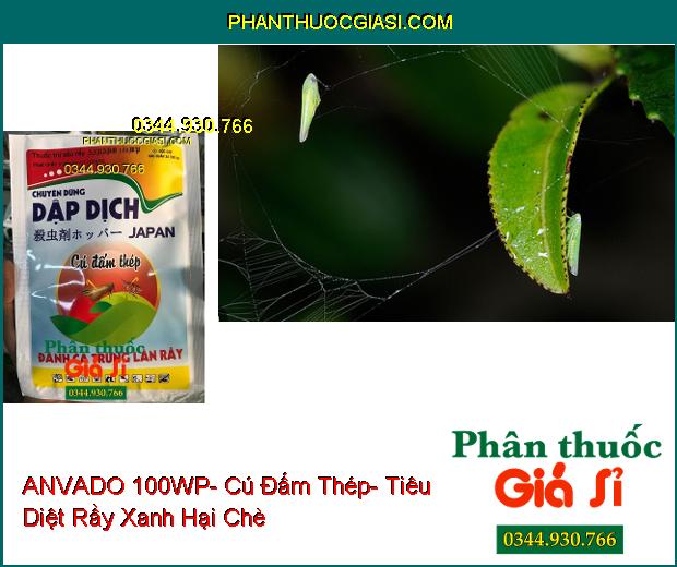 THUỐC TRỪ SÂU RẦY ANVADO 100WP- Cú Đấm Thép- Tiêu Diệt Cả Rầy Và Trứng Rầy