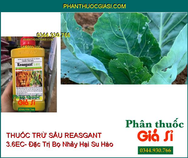 THUỐC TRỪ SÂU REASGANT 3.6EC- Đặc Trị Nhiều Loại Côn Trùng Hại Cây 