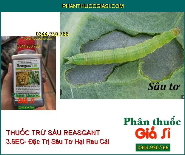 THUỐC TRỪ SÂU REASGANT 3.6EC- Đặc Trị Nhiều Loại Sâu Hại Trên Nhiều Loại Cây Trồng