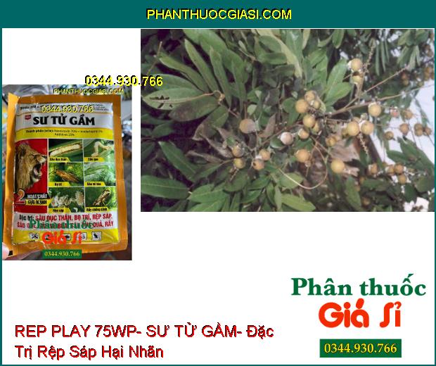 THUỐC TRỪ SÂU REP PLAY 75WP- SƯ TỬ GẦM- Đặc Trị Sâu Đục Thân- Bọ Trĩ- Rầy- Rệp Sáp