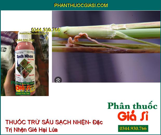 THUỐC TRỪ SÂU SẠCH NHỆN- Làm Ung Trứng Nhện- Xua Đuổi Côn Trùng Gây Hại