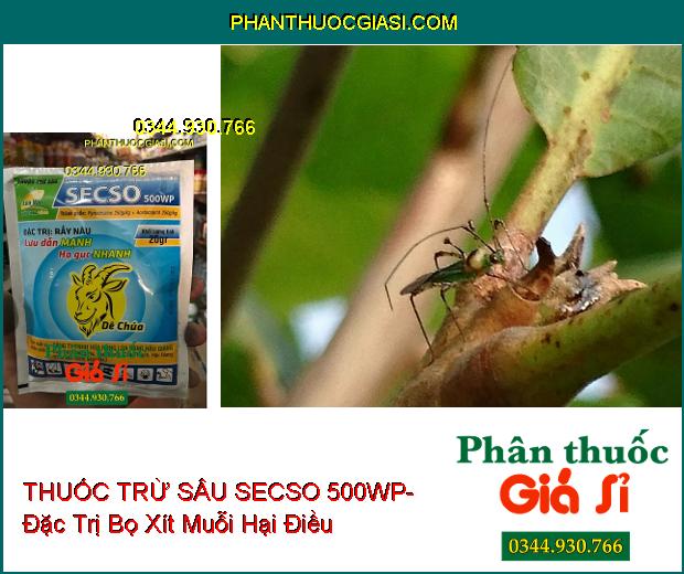 THUỐC TRỪ SÂU SECSO 500WP- Đặc Trị Rầy Nâu- Sâu Khoang- Bọ Xít Muỗi