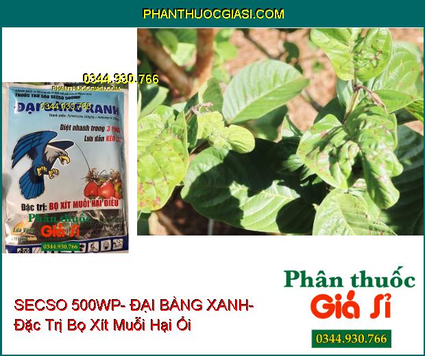 THUỐC TRỪ SÂU SECSO 500WP- ĐẠI BÀNG XANH- Đặc Trị Bọ Xít Muỗi Hại Điều