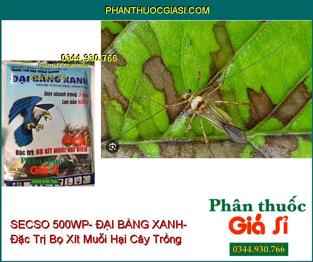 THUỐC TRỪ SÂU SECSO 500WP- ĐẠI BÀNG XANH- Đặc Trị Bọ Xít Muỗi Hại Điều