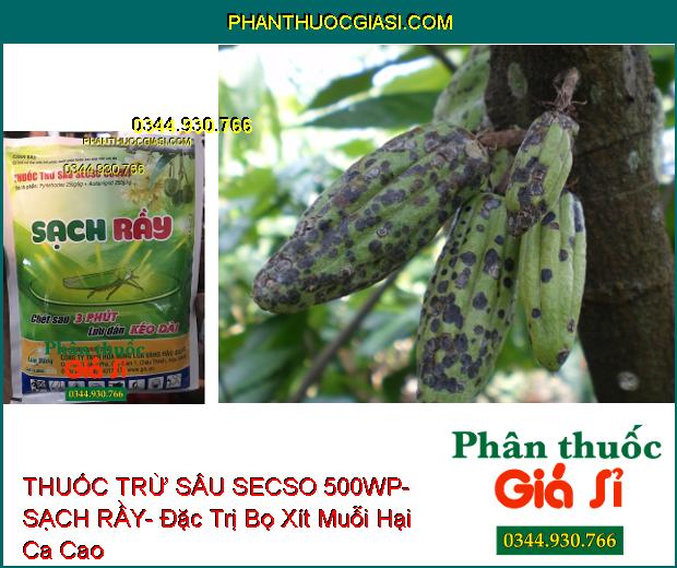 THUỐC TRỪ SÂU SECSO 500WP- SẠCH RẦY- Đặc Trị Rầy- Bọ Xít Muỗi