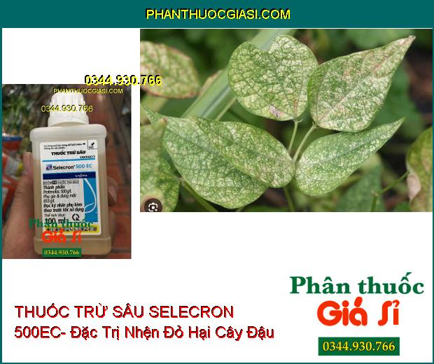 THUỐC TRỪ SÂU SELECRON 500EC- Đặc Trị Nhanh Nhện Đỏ- Rệp- Bọ Trĩ- Sâu