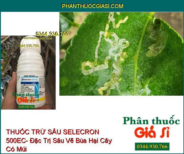 THUỐC TRỪ SÂU SELECRON 500EC- Đặc Trị Rệp Sáp- Nhện Đỏ- Sâu- Bọ Trĩ