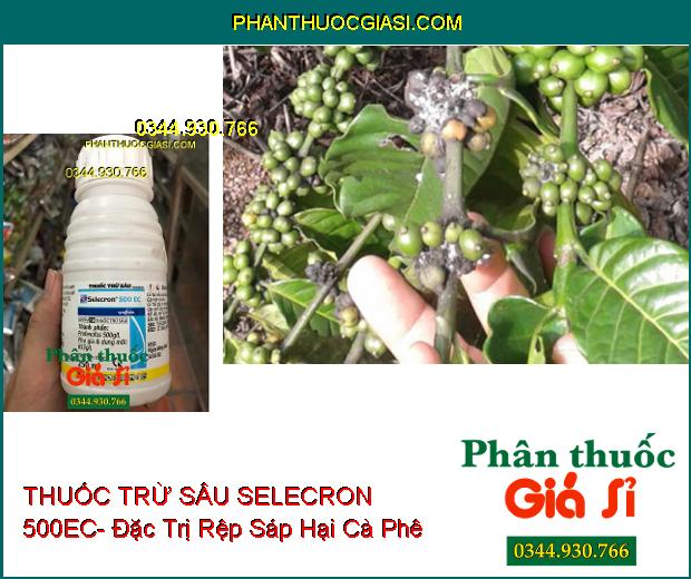 THUỐC TRỪ SÂU SELECRON 500EC- Đặc Trị Rệp Sáp- Nhện Đỏ- Sâu- Bọ Trĩ