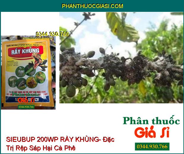 THUỐC TRỪ SÂU SIEUBUP 200WP RẦY KHỦNG- Đặc Trị Rầy Xanh- Bọ Trĩ- Rệp Sáp- Ruồi Vàng- Tuyến Trùng